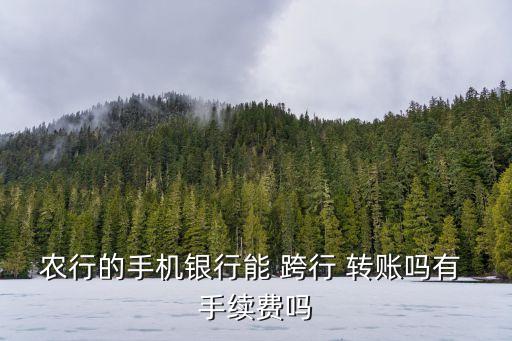 農(nóng)行的手機銀行能 跨行 轉賬嗎有 手續(xù)費嗎