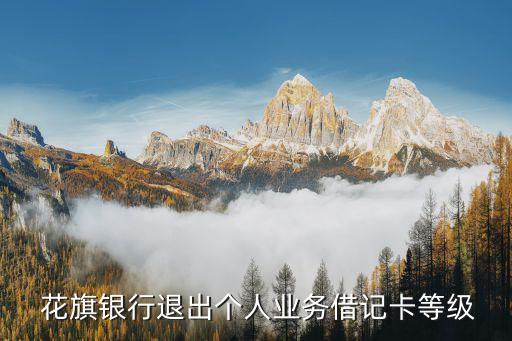  花旗銀行退出個(gè)人業(yè)務(wù)借記卡等級