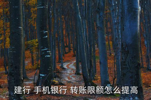  建行 手機銀行 轉(zhuǎn)賬限額怎么提高