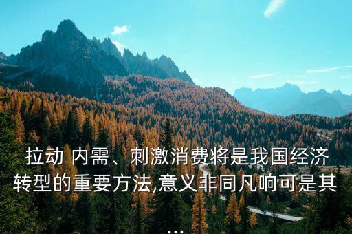  拉動(dòng) 內(nèi)需、刺激消費(fèi)將是我國(guó)經(jīng)濟(jì)轉(zhuǎn)型的重要方法,意義非同凡響可是其...