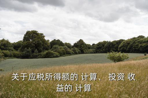計算階段性投資及收益,單項投資的風(fēng)險收益如何計算
