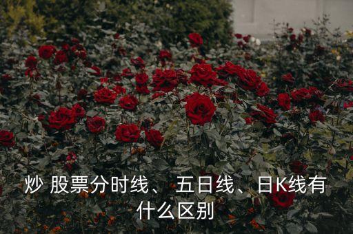 炒 股票分時線、 五日線、日K線有什么區(qū)別