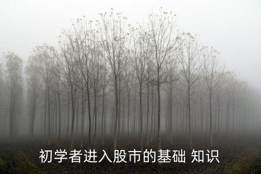 初學(xué)者進入股市的基礎(chǔ) 知識