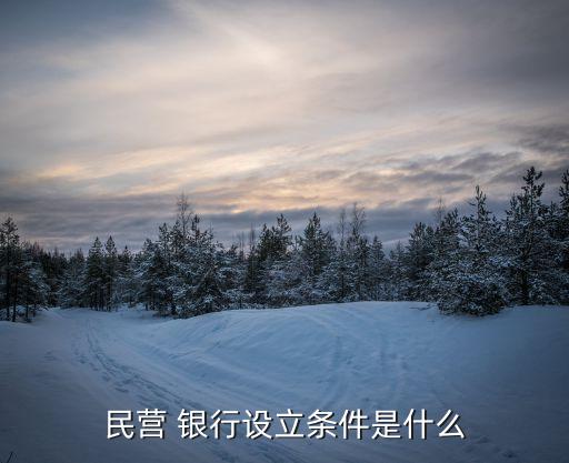 民營 銀行設立條件是什么