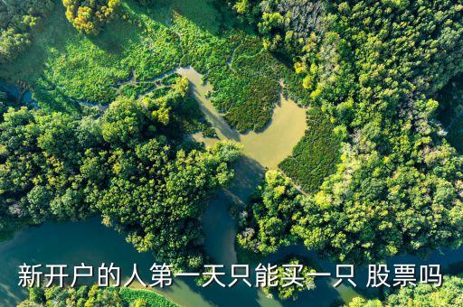 股票一天買(mǎi)一家可以嗎,一天只能買(mǎi)一次股票嗎