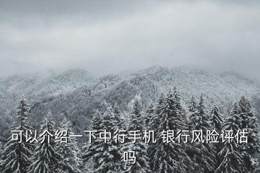 可以介紹一下中行手機(jī) 銀行風(fēng)險(xiǎn)評(píng)估嗎