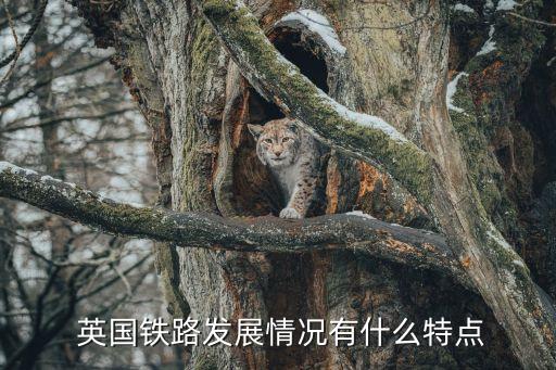 英國(guó)為什么會(huì)與中國(guó)簽高鐵合同