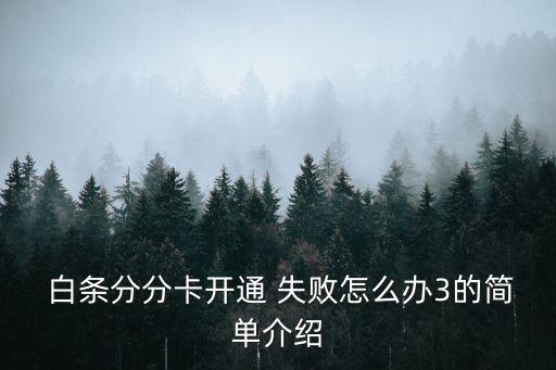 白條分分卡開(kāi)通 失敗怎么辦3的簡(jiǎn)單介紹