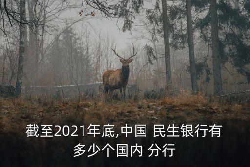 截至2021年底,中國 民生銀行有多少個(gè)國內(nèi) 分行