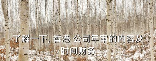 了解一下, 香港 公司年審的內(nèi)容及時(shí)間財(cái)務(wù)