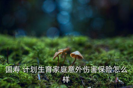 國壽 計(jì)劃生育家庭意外傷害保險(xiǎn)怎么樣