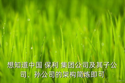 想知道中國 保利 集團公司及其子公司、孫公司的架構(gòu)簡煉即可