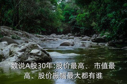 數(shù)說A股30年:股價最高、 市值最高、股價振幅最大都有誰