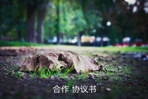  合作 協(xié)議書(shū)