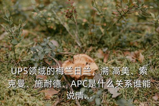 UPS領(lǐng)域的梅蘭日蘭、溯 高美、索克曼、施耐德、APC是什么關(guān)系誰能說清...
