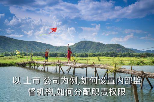 以 上市 公司為例,如何設(shè)置內(nèi)部監(jiān)督機構(gòu),如何分配職責權(quán)限