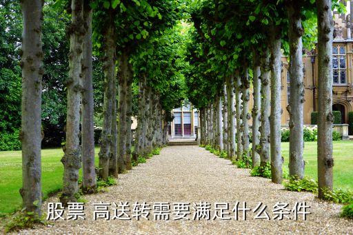 2016年度高送轉股票