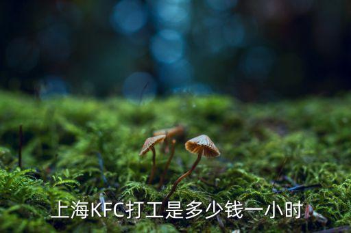 上?？系禄磕昙庸べY嗎