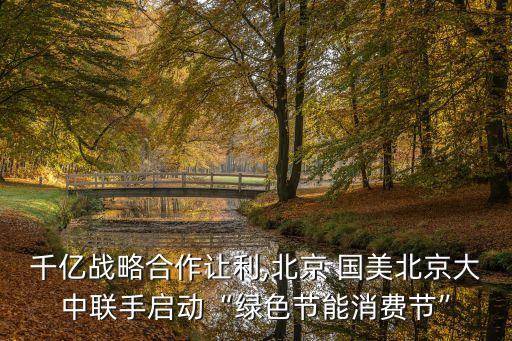 國美中國各大區(qū)總經(jīng)理,國美十二個(gè)大區(qū)總經(jīng)理名單