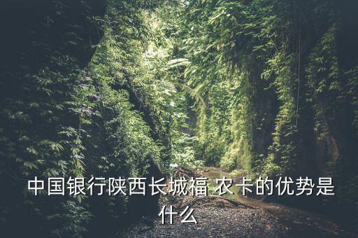  中國銀行陜西長(zhǎng)城福 農(nóng)卡的優(yōu)勢(shì)是什么