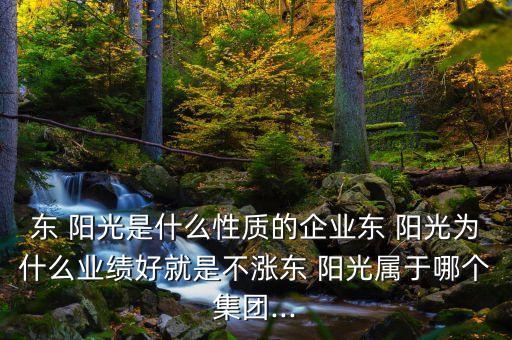 東 陽光是什么性質(zhì)的企業(yè)東 陽光為什么業(yè)績好就是不漲東 陽光屬于哪個(gè)集團(tuán)...