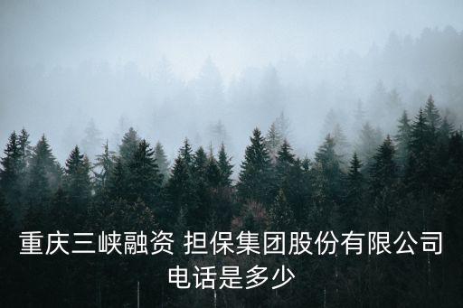 重慶市涪陵區(qū)銀科融資擔保有限責(zé)任公司