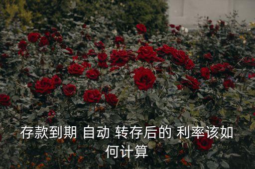 存款到期 自動 轉(zhuǎn)存后的 利率該如何計(jì)算