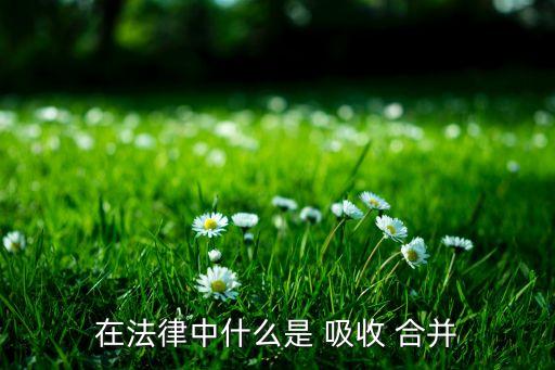 tcl集團換股吸收合并子公司,母公司吸收合并子公司換股