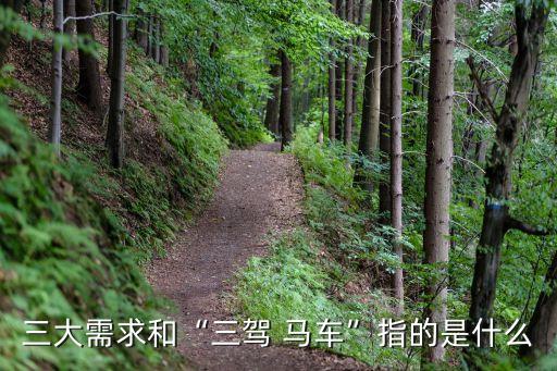中國(guó)經(jīng)濟(jì)增長(zhǎng)新三架馬車,經(jīng)濟(jì)增長(zhǎng)的三架