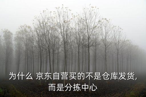 為什么 京東自營買的不是倉庫發(fā)貨,而是分揀中心