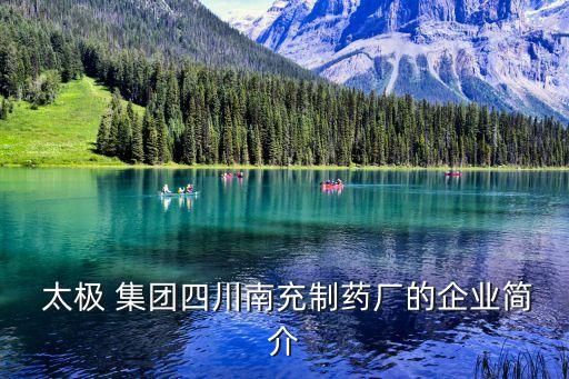  太極 集團四川南充制藥廠的企業(yè)簡介