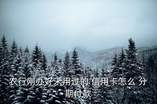 農行剛辦好未用過的 信用卡怎么 分期付款