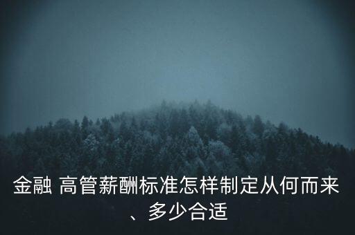 金融 高管薪酬標準怎樣制定從何而來、多少合適