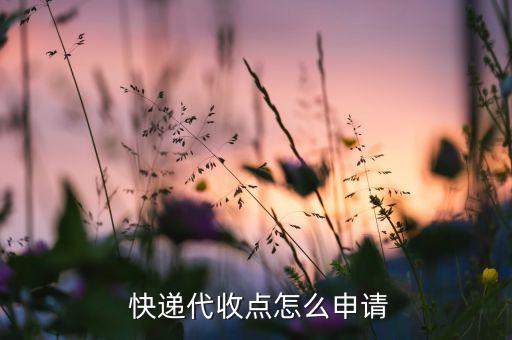  快遞代收點(diǎn)怎么申請(qǐng)