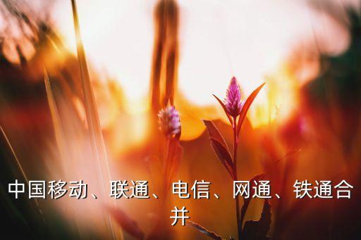 中國(guó)移動(dòng)、聯(lián)通、電信、網(wǎng)通、鐵通合并