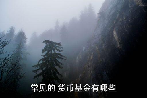 華寶添益場(chǎng)內(nèi)貨幣基金代碼
