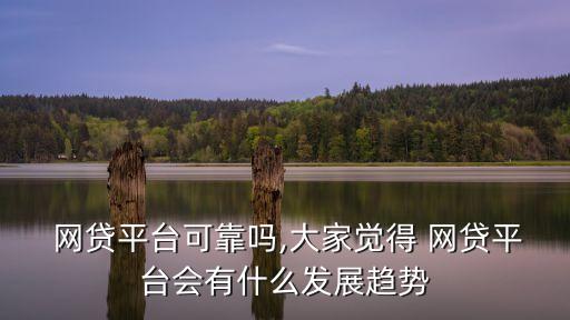 網(wǎng)貸平臺(tái)可靠嗎,大家覺得 網(wǎng)貸平臺(tái)會(huì)有什么發(fā)展趨勢