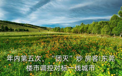 年內(nèi)第五次、“團(tuán)滅”炒 房客!東莞樓市調(diào)控對(duì)標(biāo)一線城市