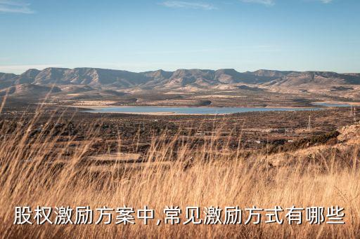 股權激勵方案中,常見激勵方式有哪些