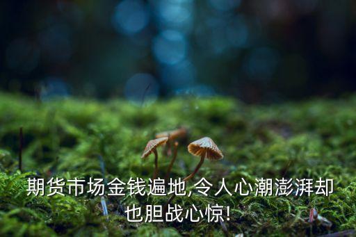  期貨市場(chǎng)金錢(qián)遍地,令人心潮澎湃卻也膽戰(zhàn)心驚!