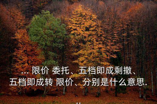 ... 限價 委托、五檔即成剩撤、五檔即成轉 限價、分別是什么意思...