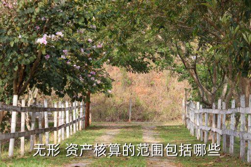 銀行無形資產是指什么,聲譽風險影響銀行的無形資產嗎