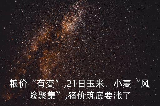 糧價“有變”,21日玉米、小麥“風險聚集”,豬價筑底要漲了