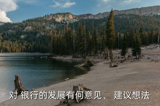 對 銀行的發(fā)展有何意見、 建議想法