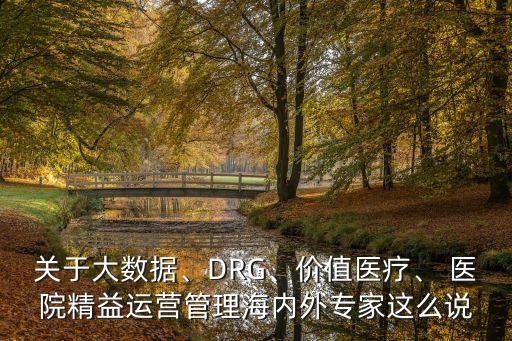 關于大數(shù)據(jù)、DRG、價值醫(yī)療、 醫(yī)院精益運營管理海內外專家這么說