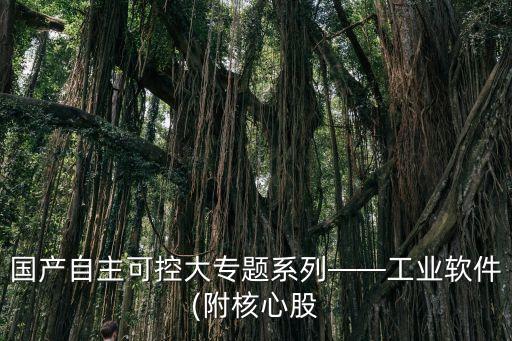 國產自主可控大專題系列——工業(yè)軟件(附核心股