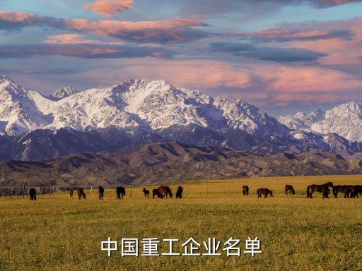 中國(guó)重工企業(yè)名單