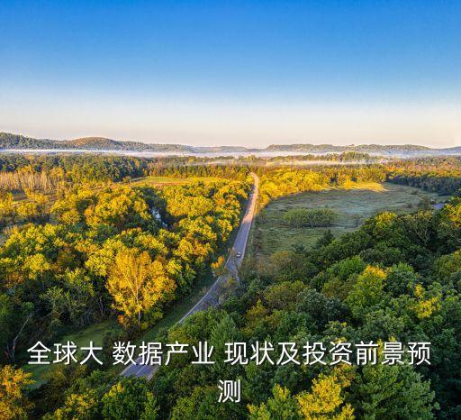 全球大 數(shù)據(jù)產(chǎn)業(yè) 現(xiàn)狀及投資前景預測