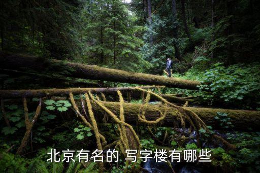 上?；ヂ?lián)網(wǎng)金融寫字樓,上海欣機(jī)會(huì)互聯(lián)網(wǎng)金融怎么樣