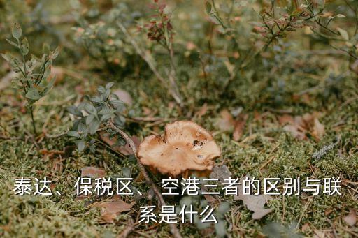 泰達、保稅區(qū)、 空港三者的區(qū)別與聯(lián)系是什么